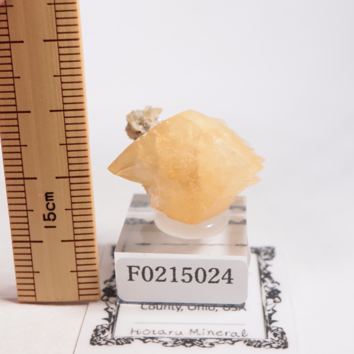 ���ϥ������� ���륵����