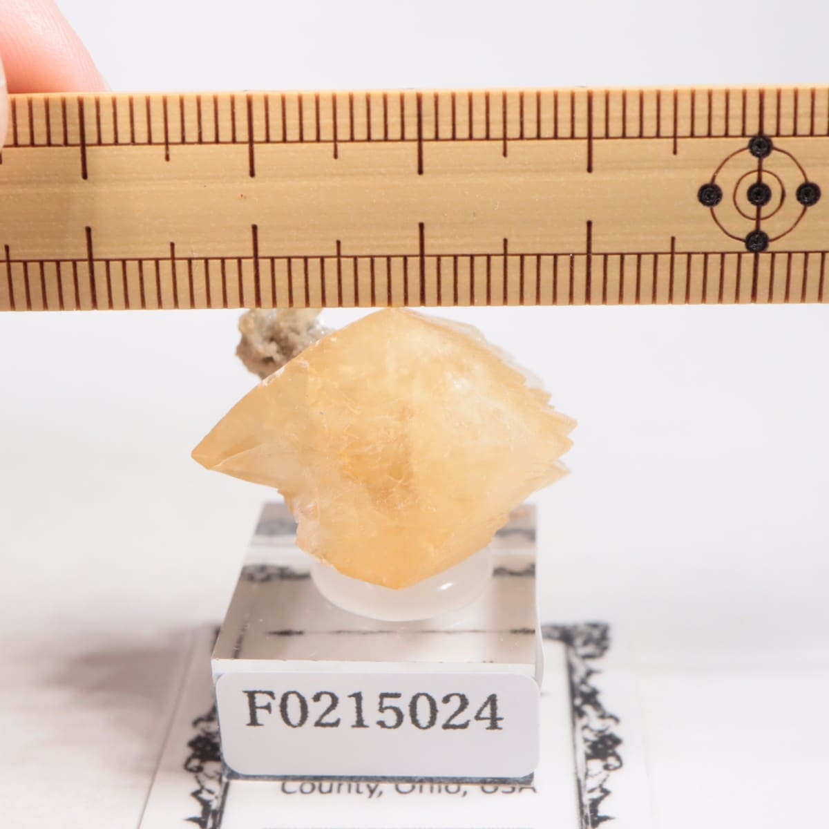 ���ϥ������� ���륵����