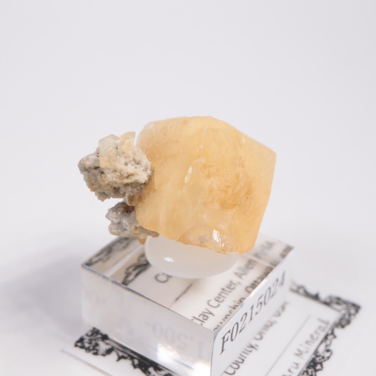 ���ϥ������� ���륵����