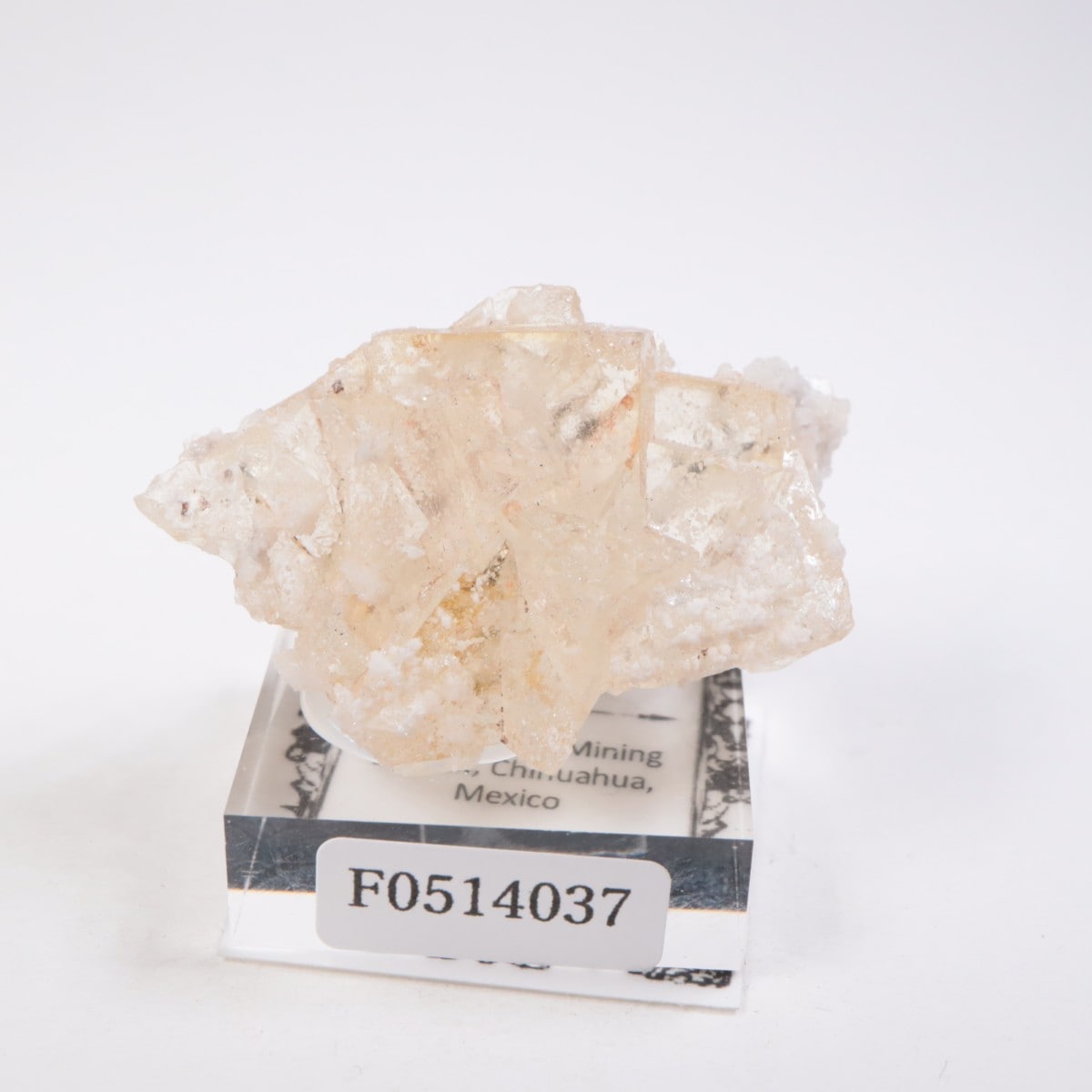 �ᥭ������ �ե����饤��