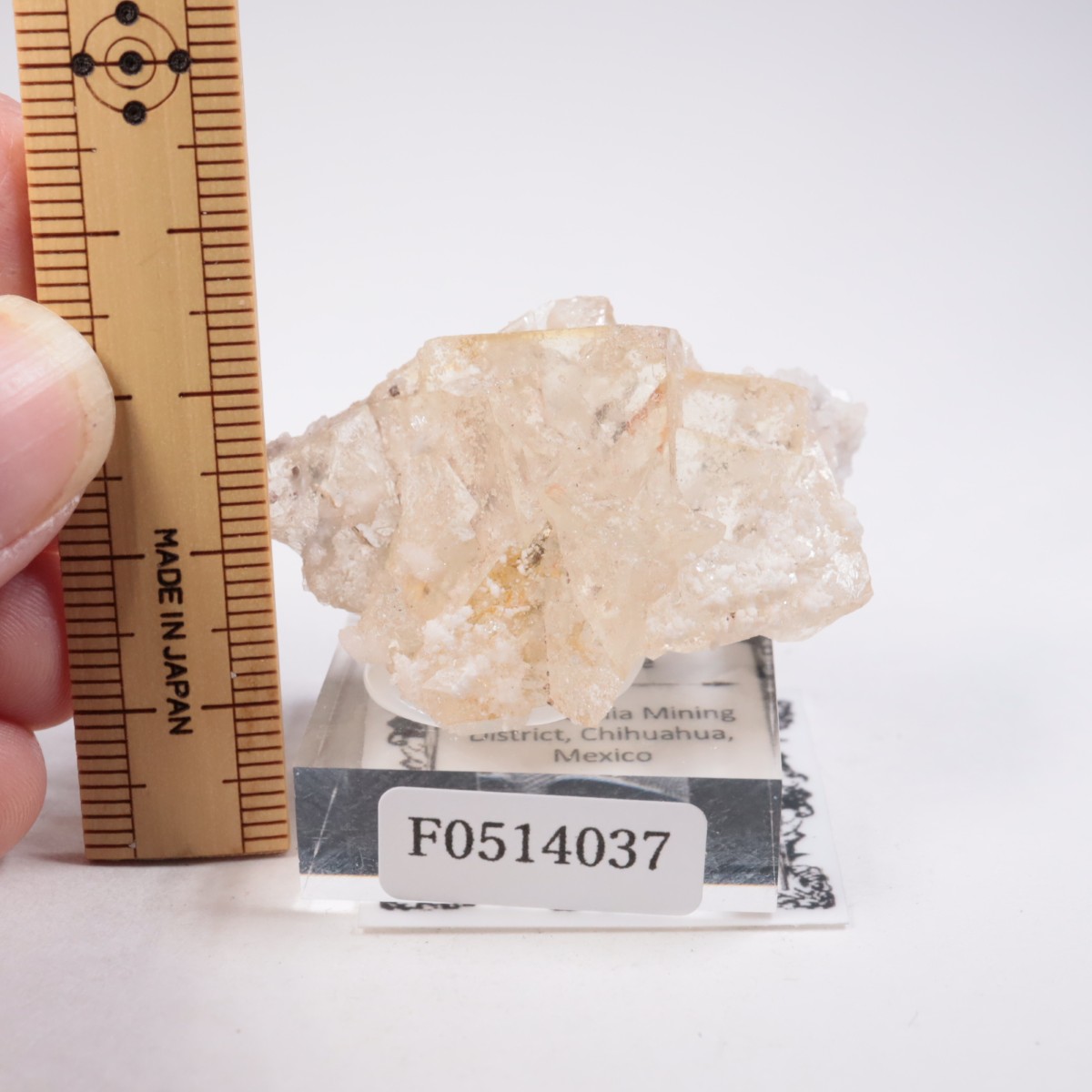 �ᥭ������ �ե����饤��