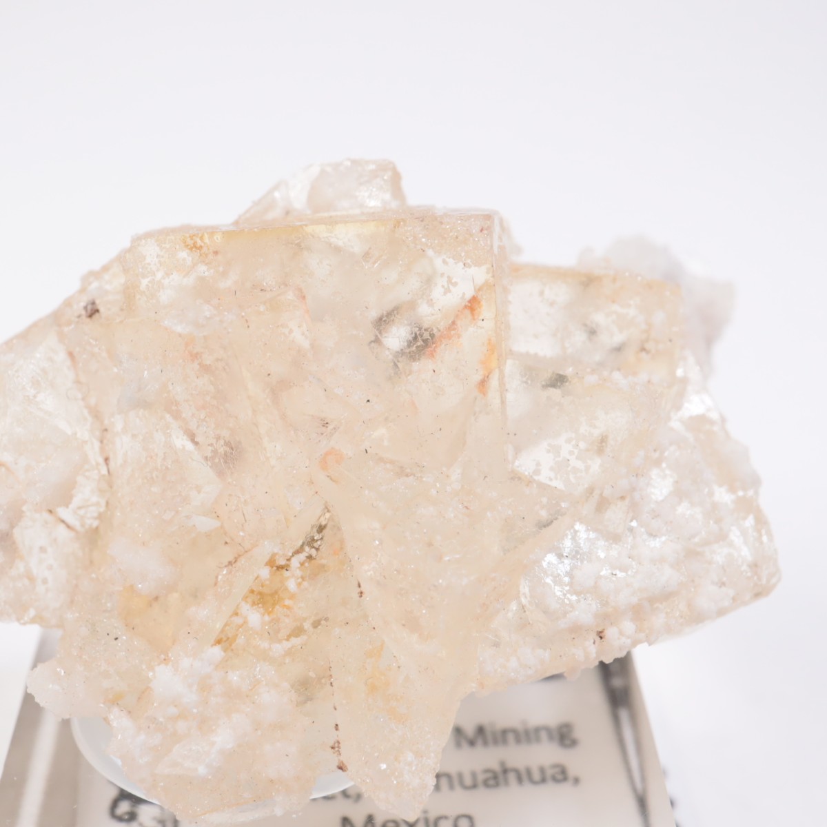 �ᥭ������ �ե����饤��