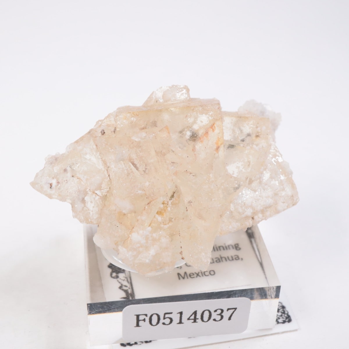 �ᥭ������ �ե����饤��