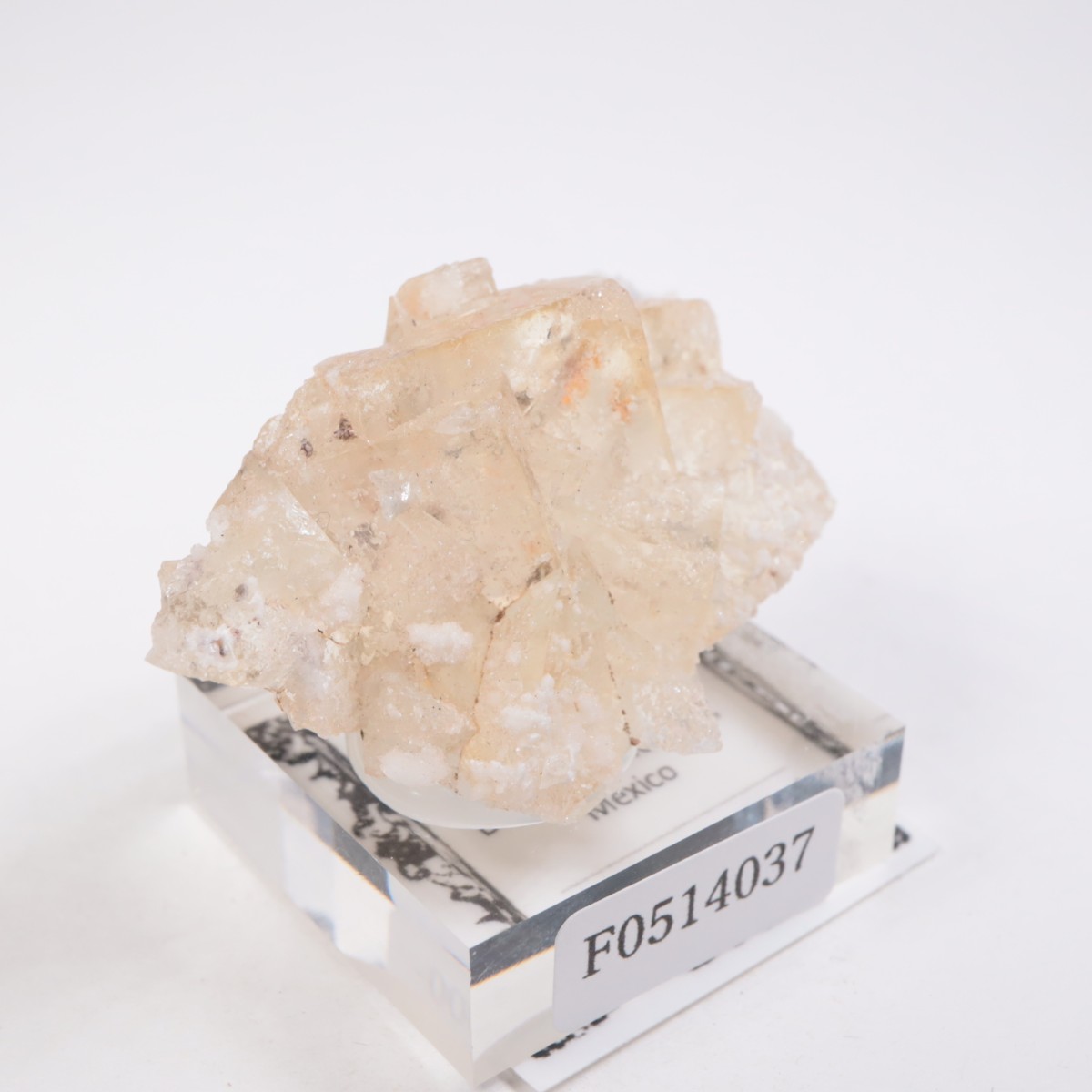 �ᥭ������ �ե����饤��