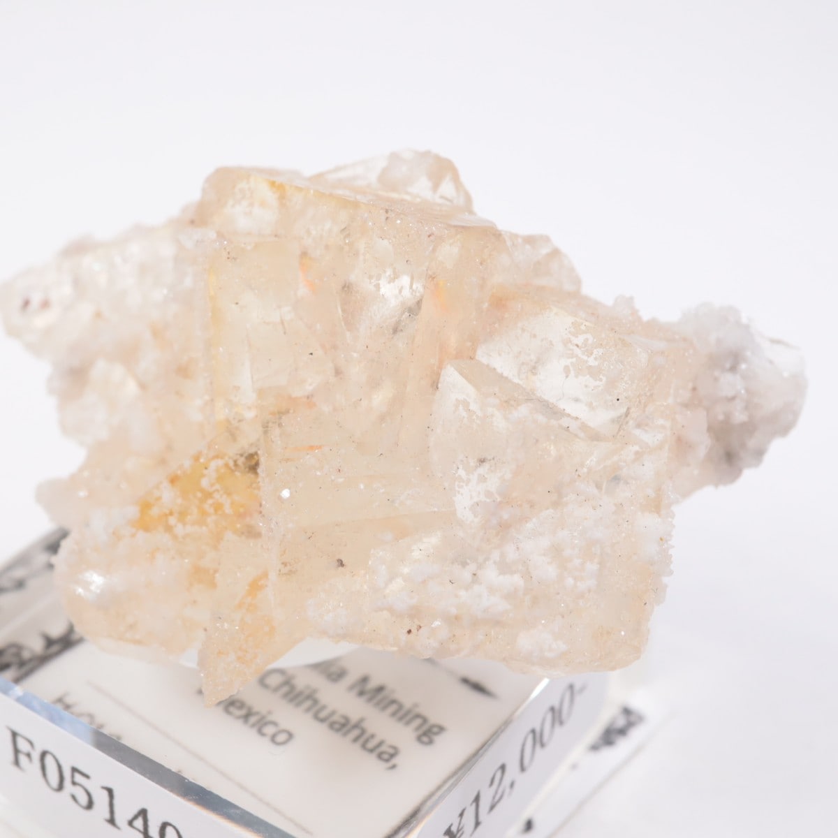 �ᥭ������ �ե����饤��