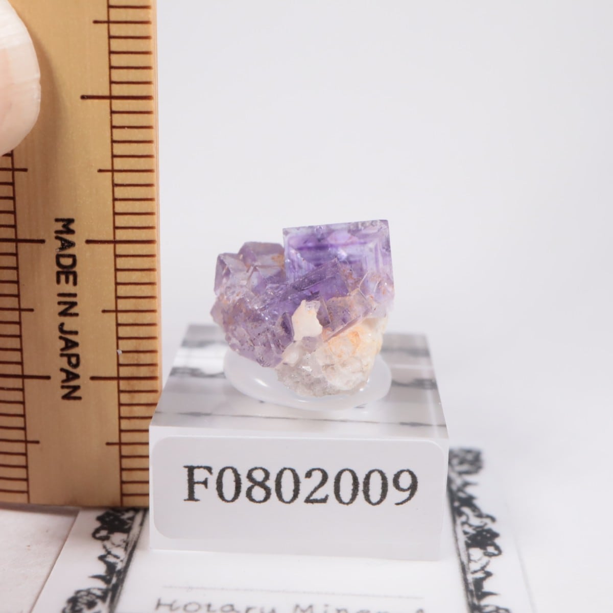 ���ڥ��� �ե����饤��