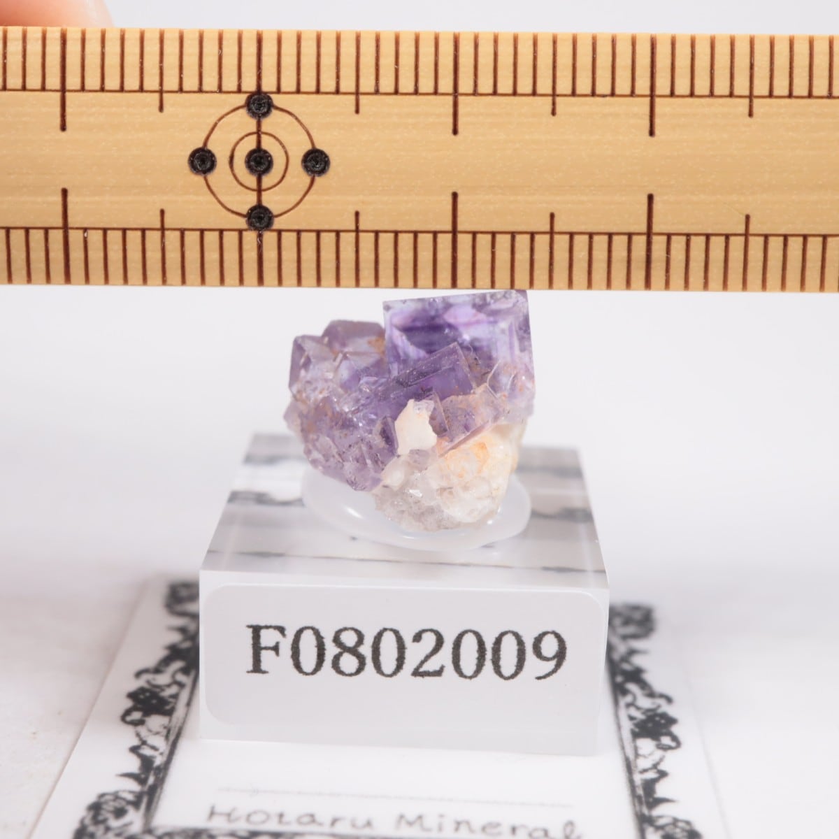 ���ڥ��� �ե����饤��