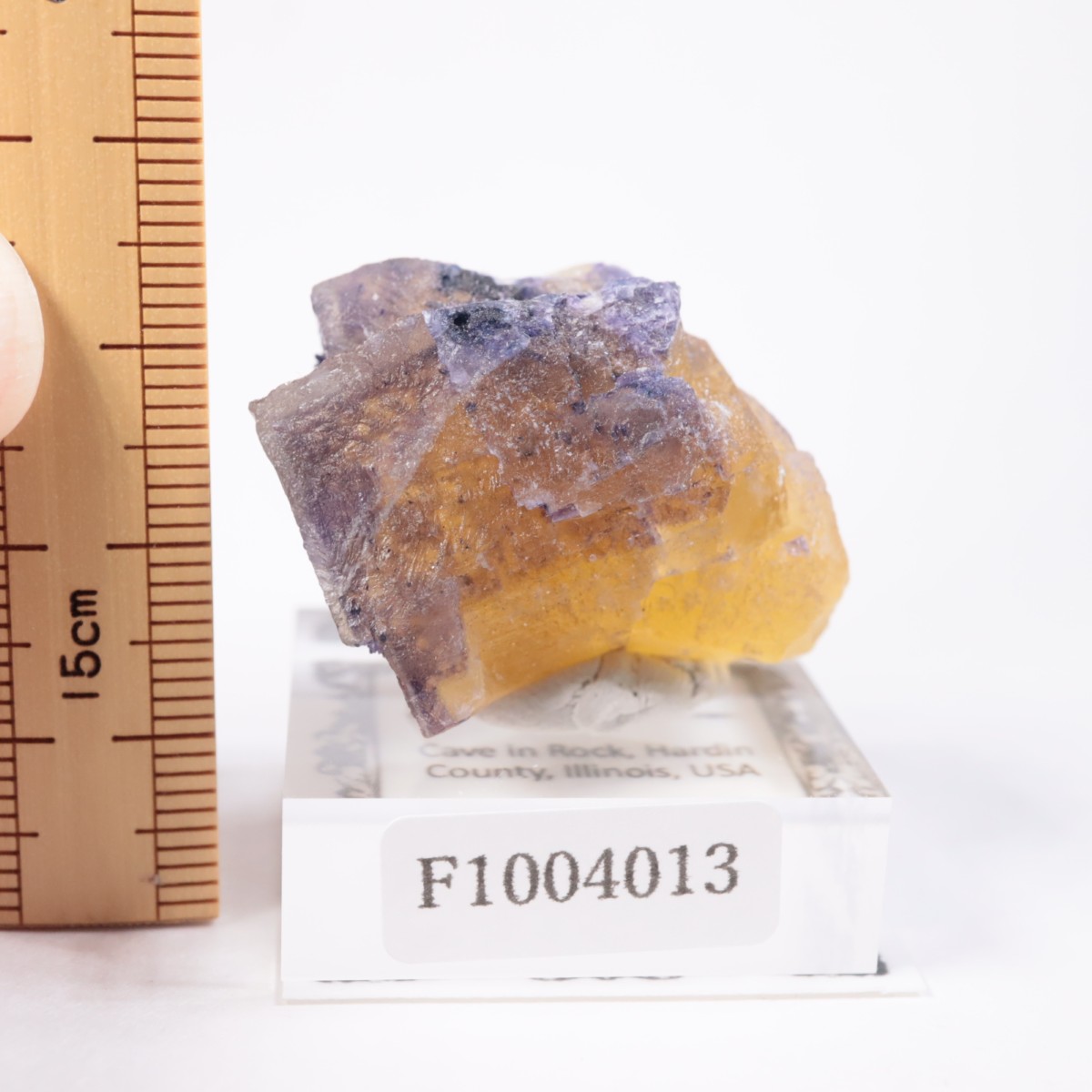 イリノイ州 フローライト | 鉱物標本,ハ行,フローライト/蛍石 | ほたる