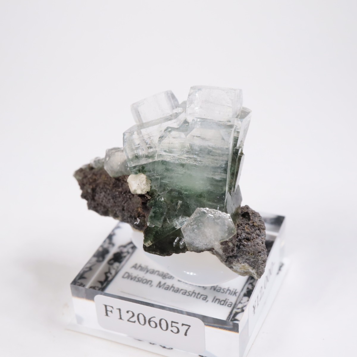 ����ɻ� ���ݥե��饤��