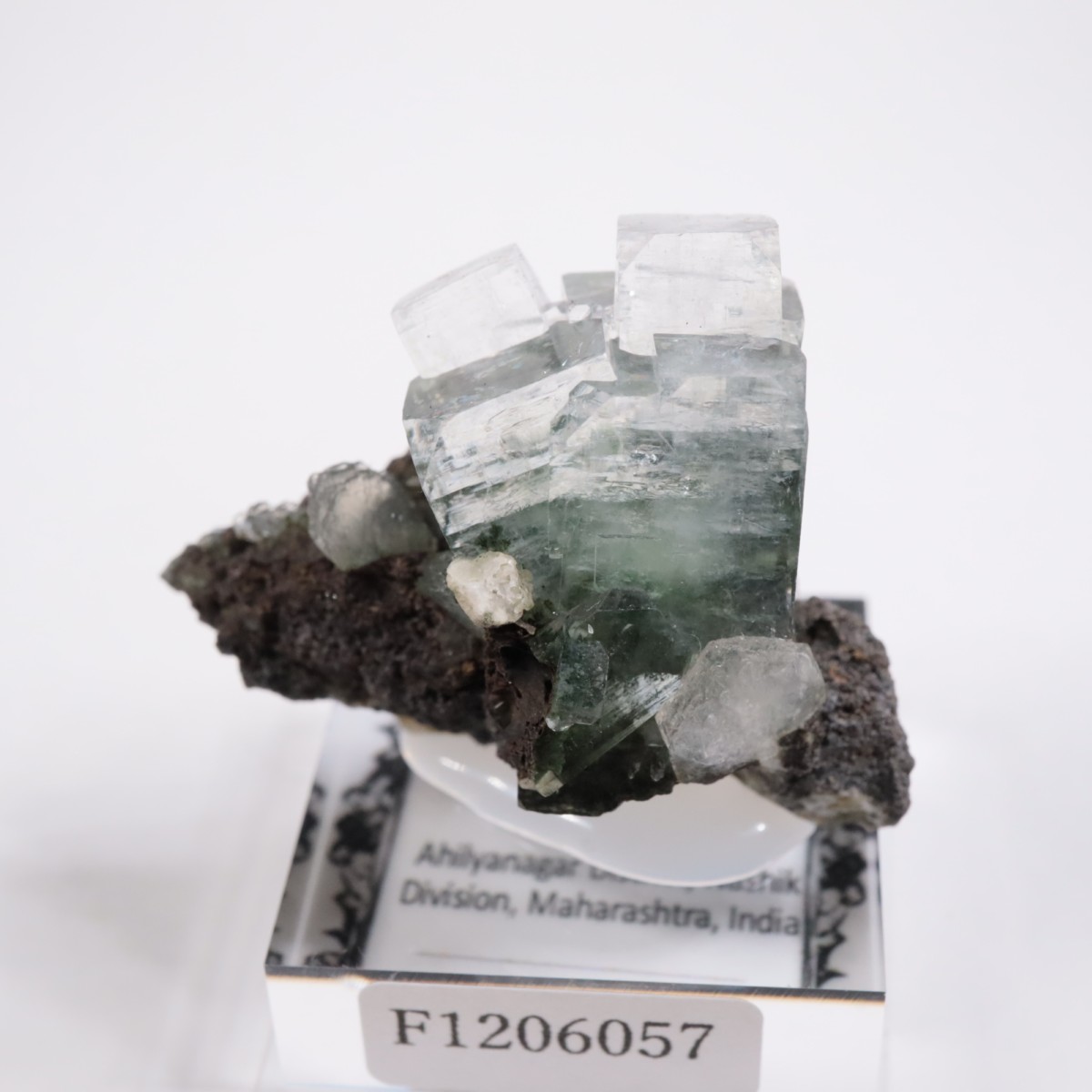 ����ɻ� ���ݥե��饤��