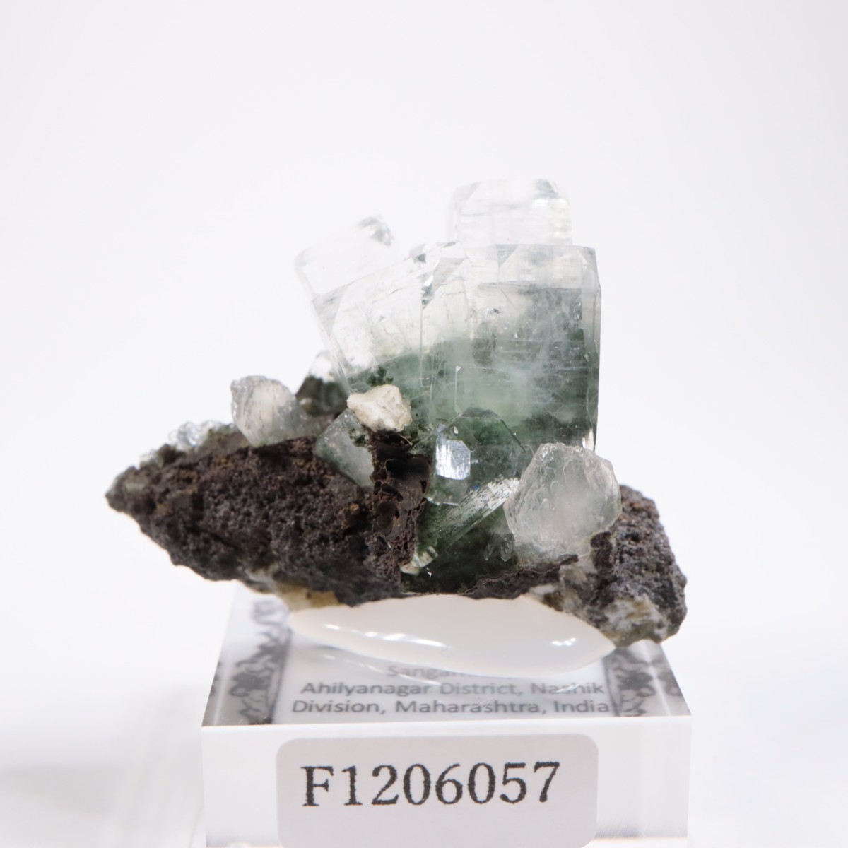 ����ɻ� ���ݥե��饤��