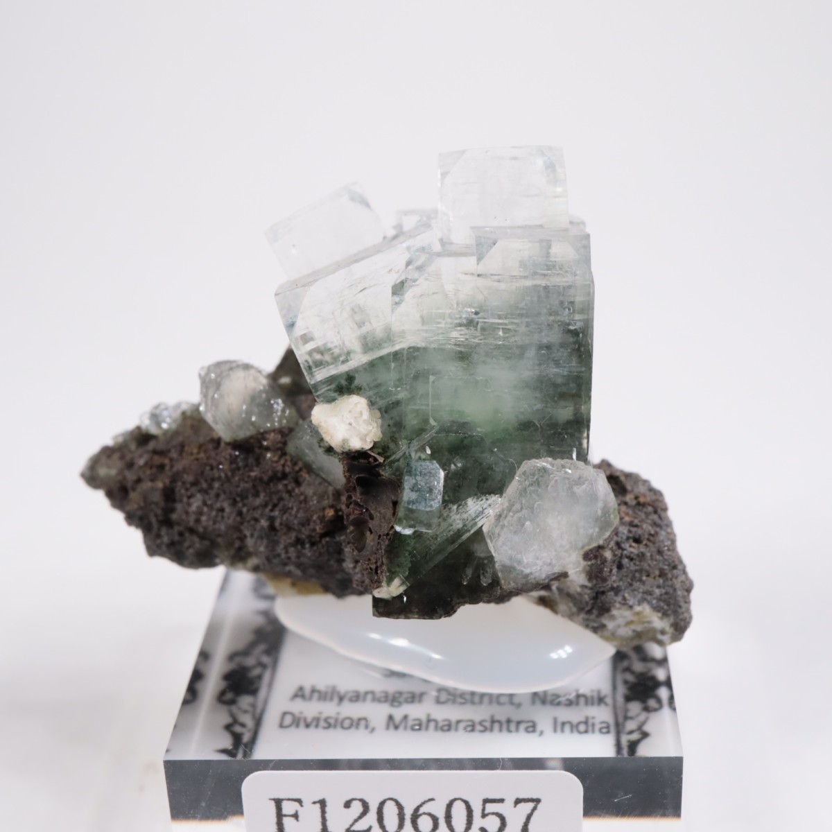 ����ɻ� ���ݥե��饤��