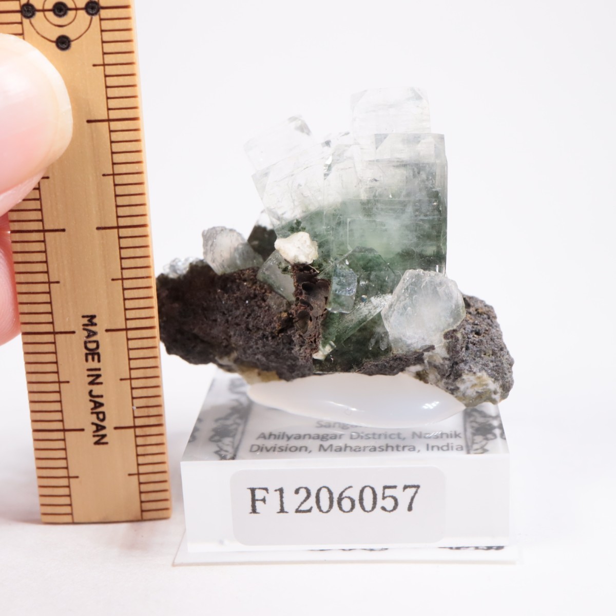 ����ɻ� ���ݥե��饤��