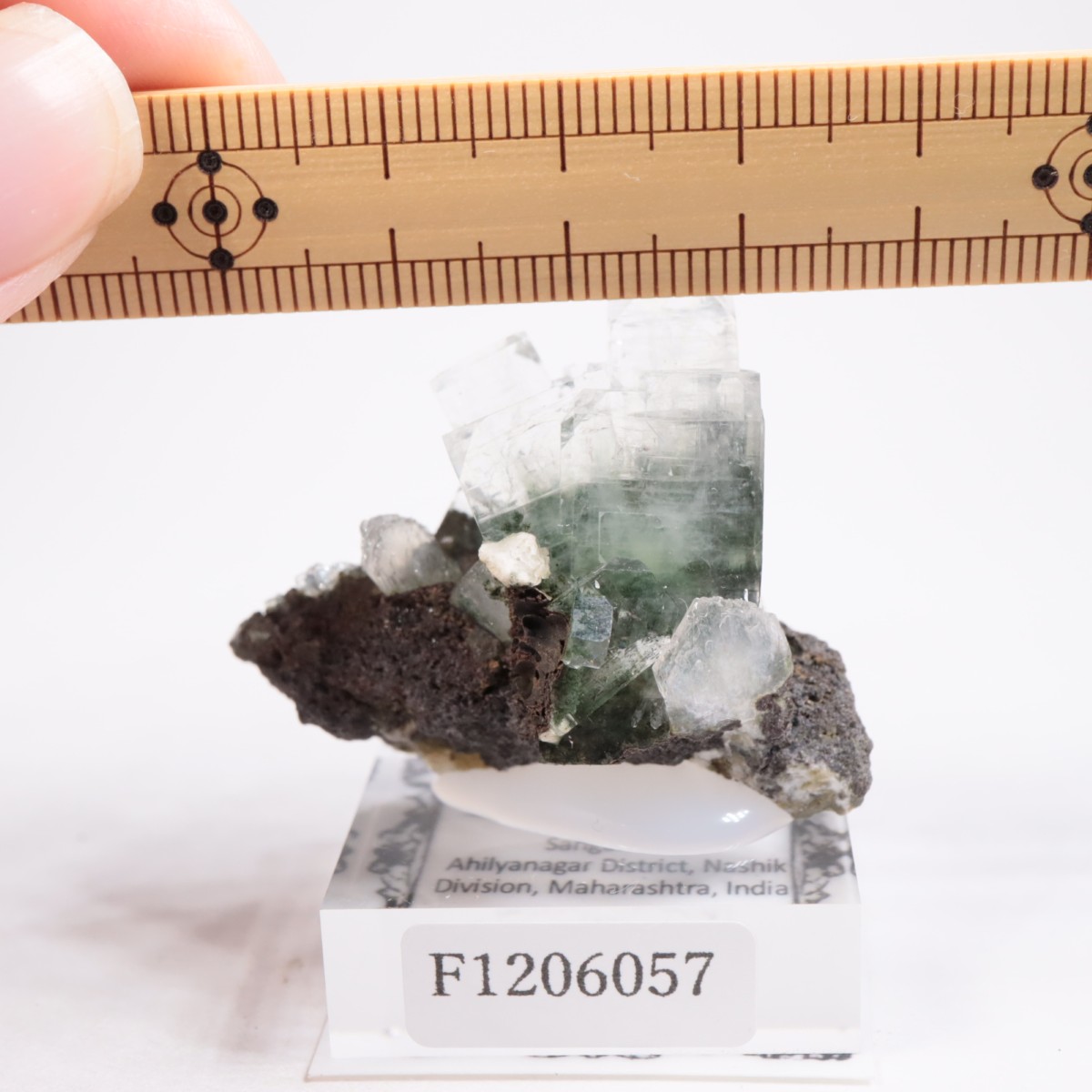 ����ɻ� ���ݥե��饤��