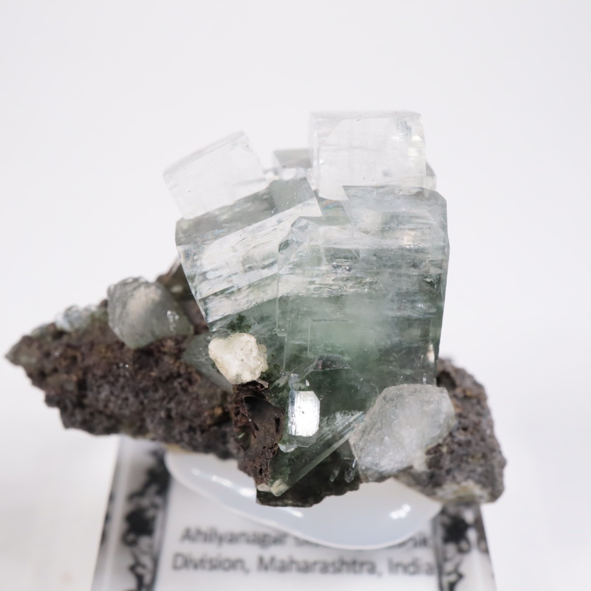 ����ɻ� ���ݥե��饤��