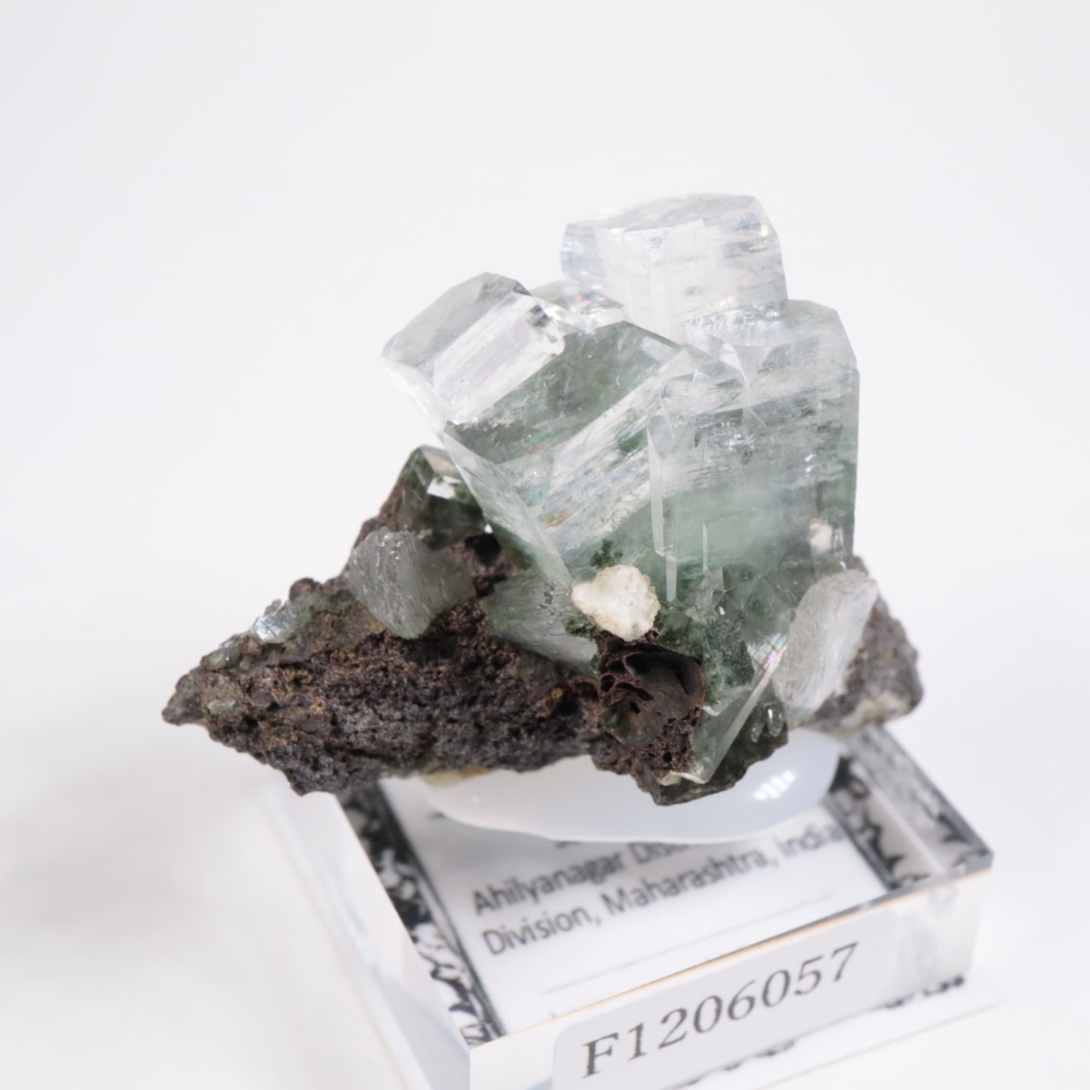 ����ɻ� ���ݥե��饤��