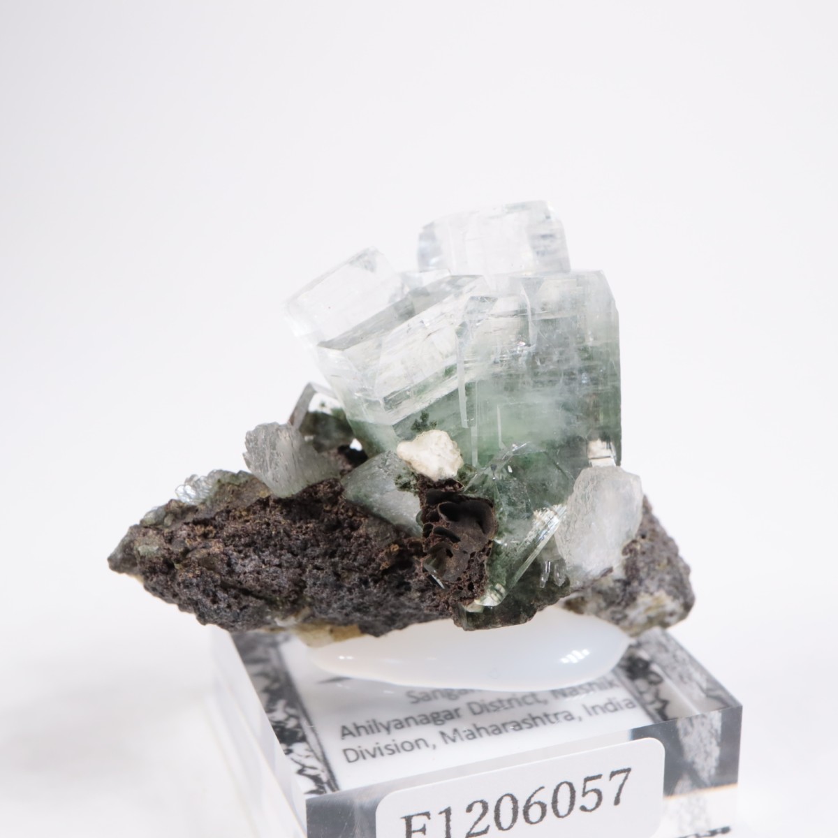 ����ɻ� ���ݥե��饤��