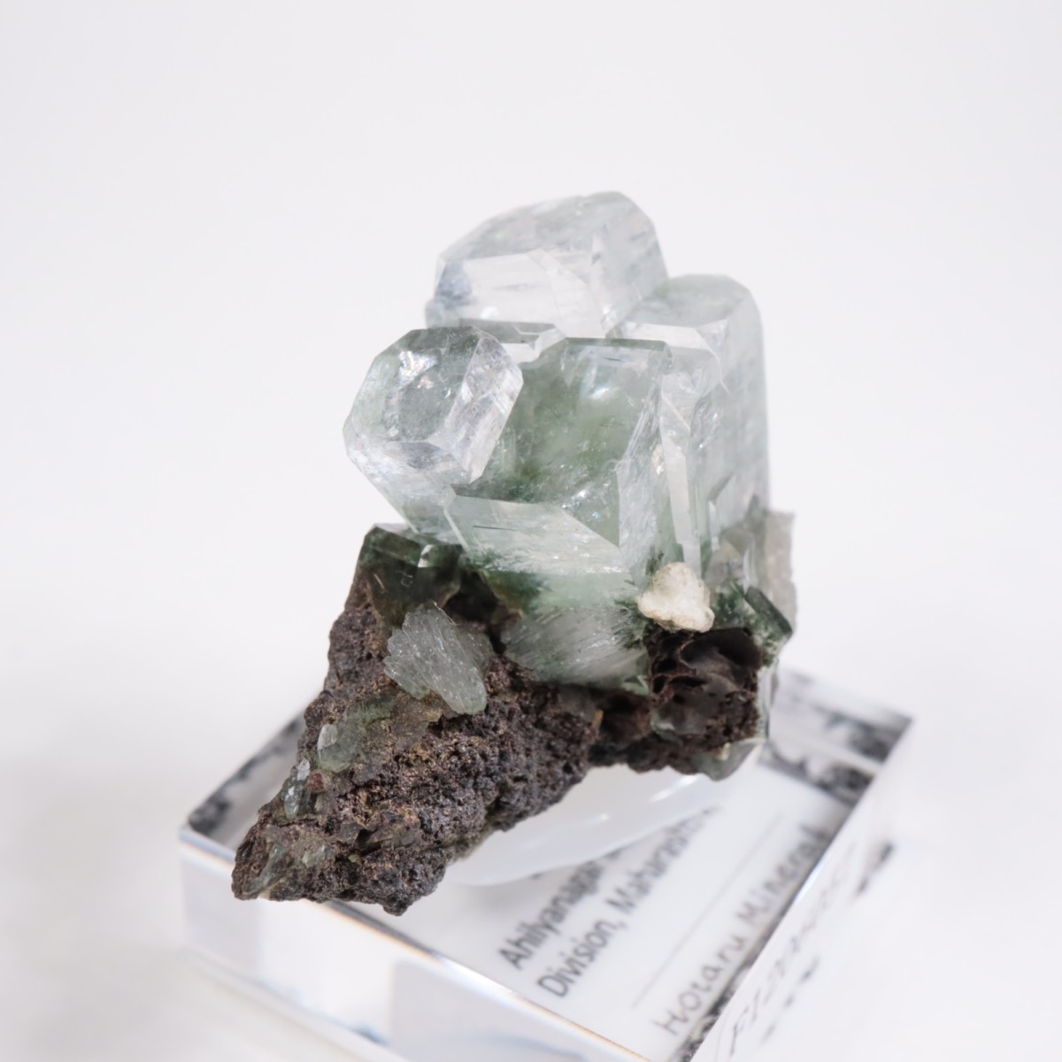 ����ɻ� ���ݥե��饤��