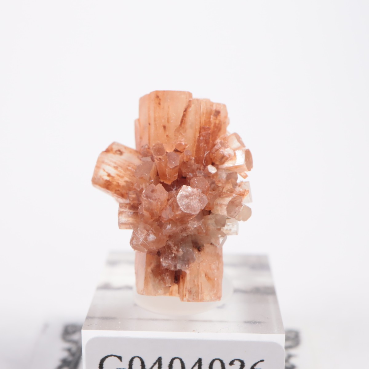 ����å��� ���饴�ʥ���