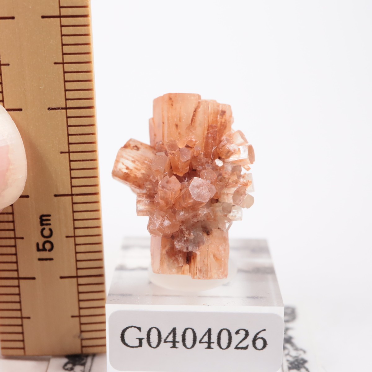 ����å��� ���饴�ʥ���