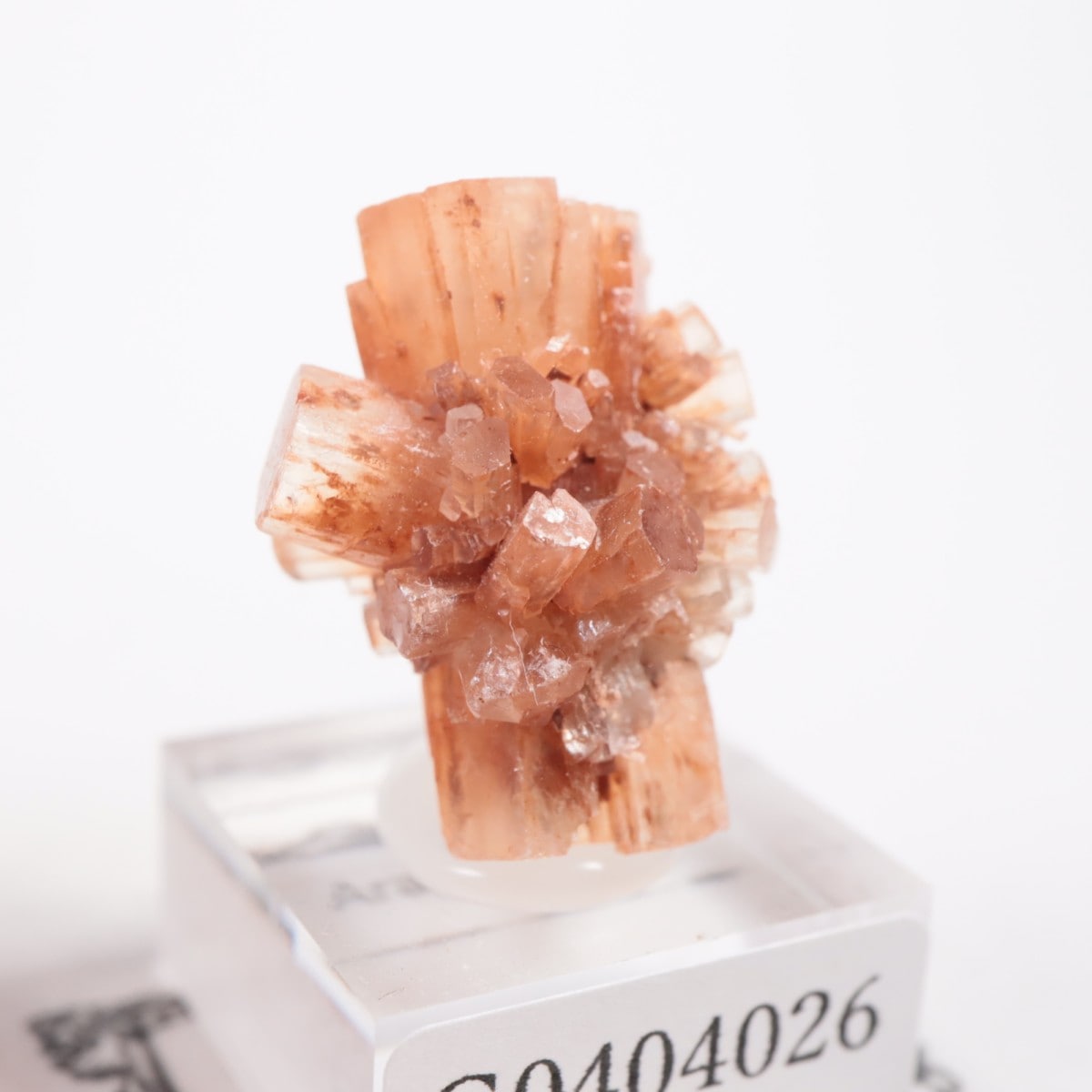 ����å��� ���饴�ʥ���