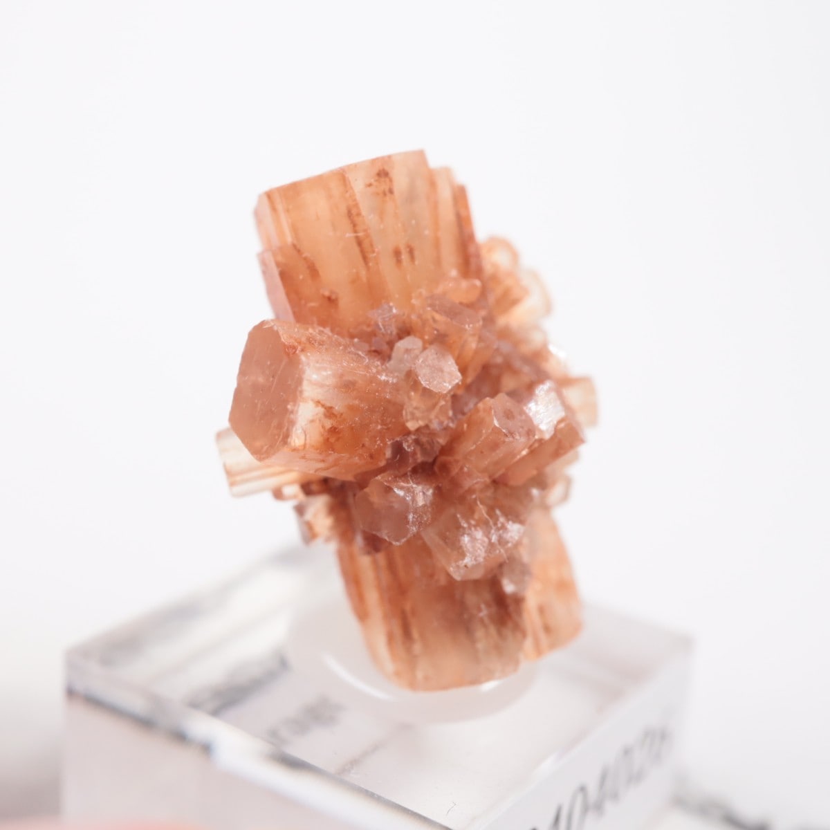 ����å��� ���饴�ʥ���