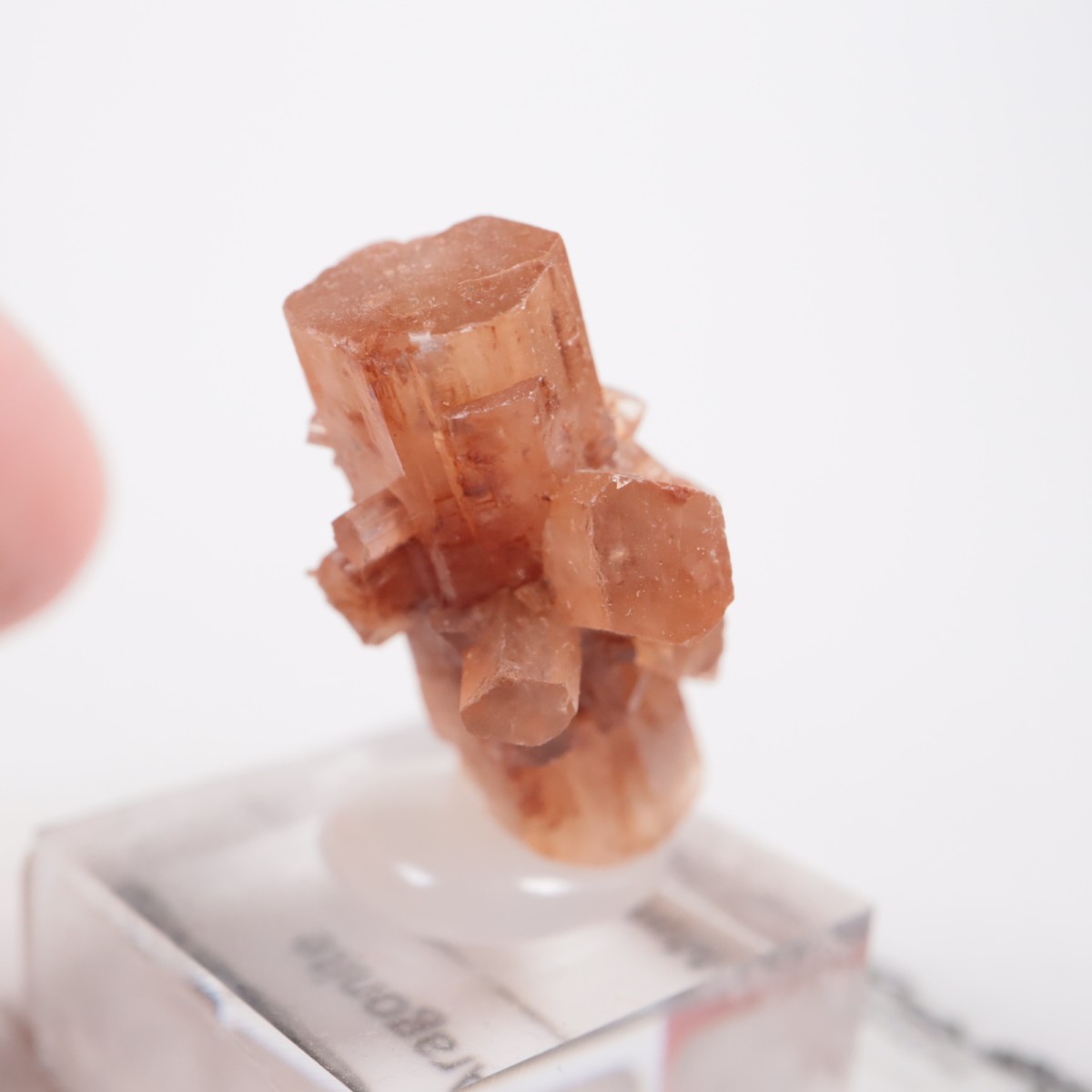 ����å��� ���饴�ʥ���