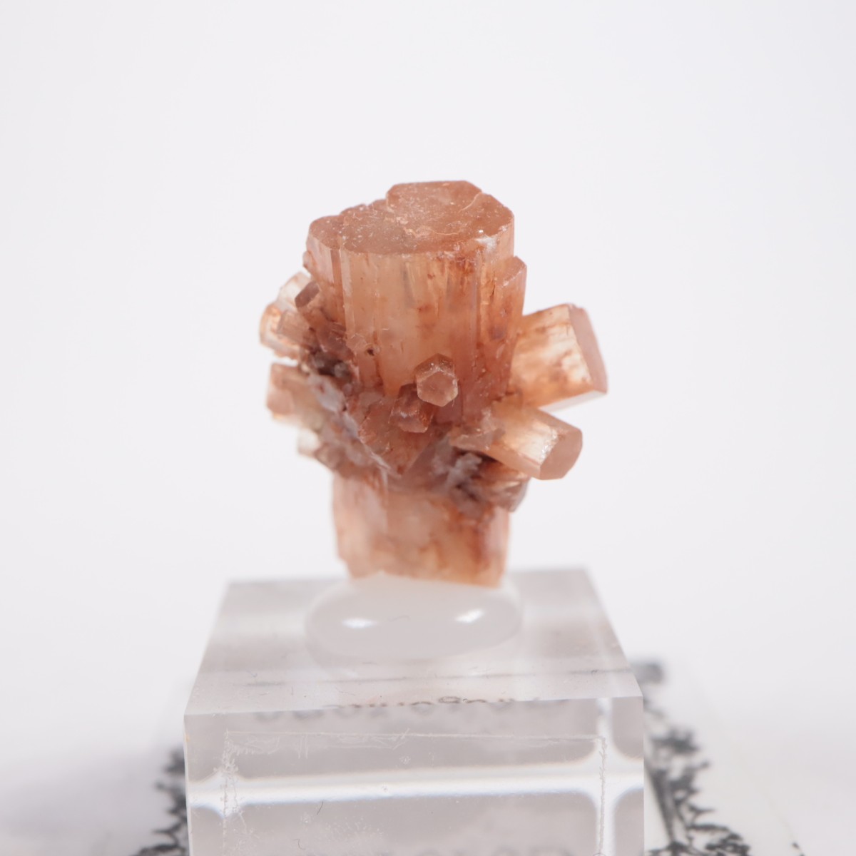 ����å��� ���饴�ʥ���