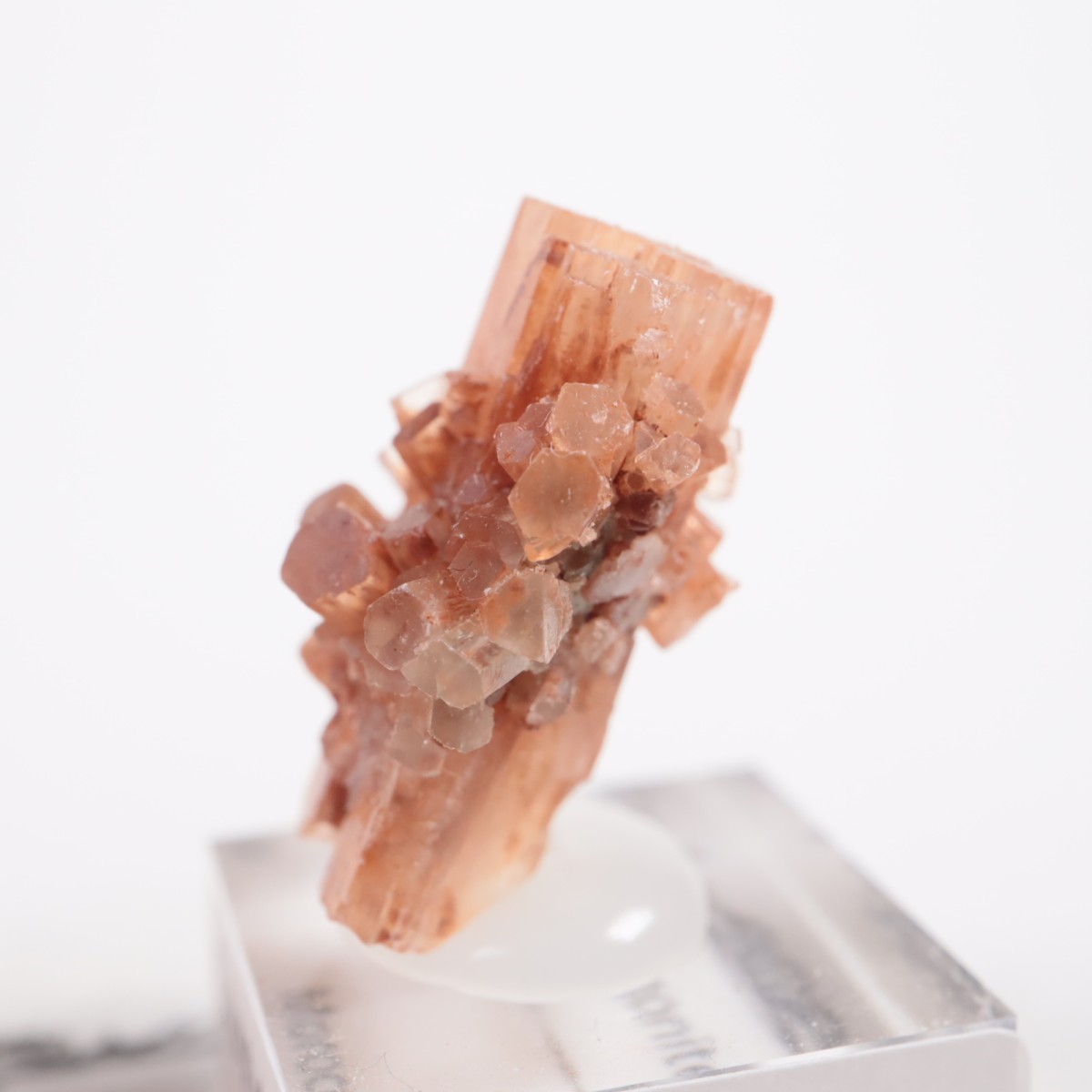 ����å��� ���饴�ʥ���