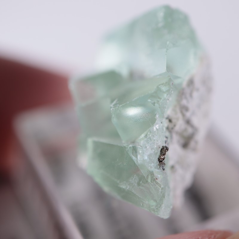 シャンファーリン産 蛍石 | 鉱物標本,ハ行,フローライト/蛍石,フロー