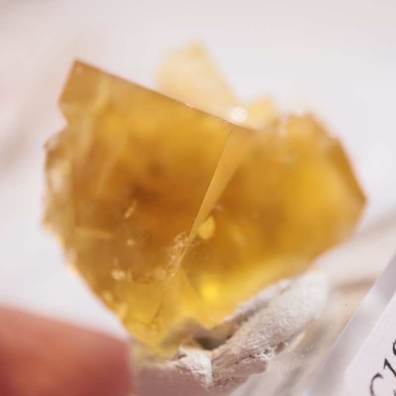 ヒルトン鉱山 フローライト | 鉱物標本,ハ行,フローライト/蛍石