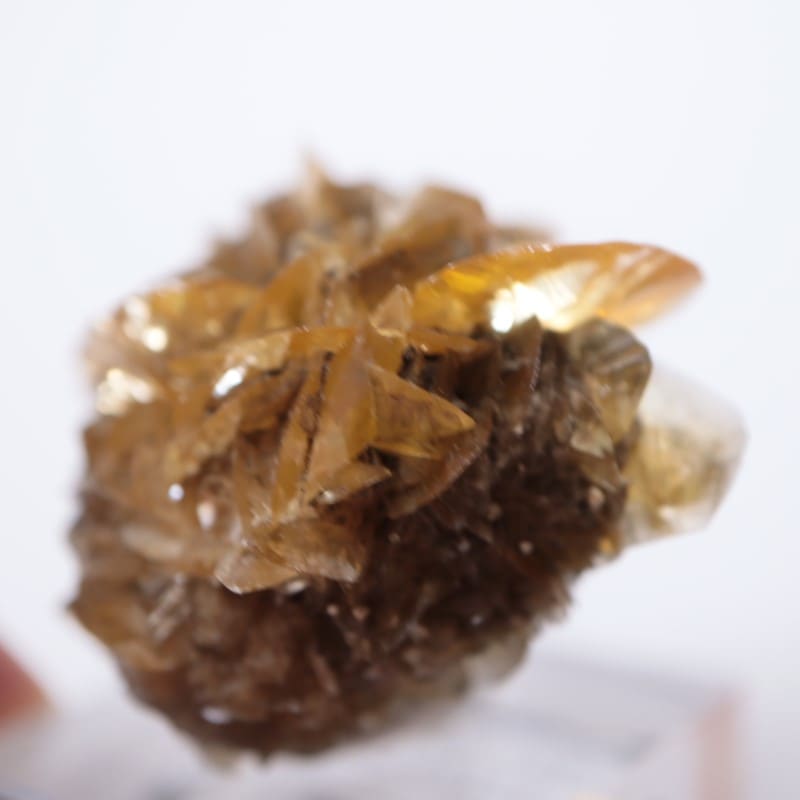 ���ʥ��������ץ���ʥ���ʥ��ȡ�