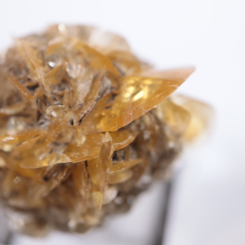 ���ʥ��������ץ���ʥ���ʥ��ȡ�