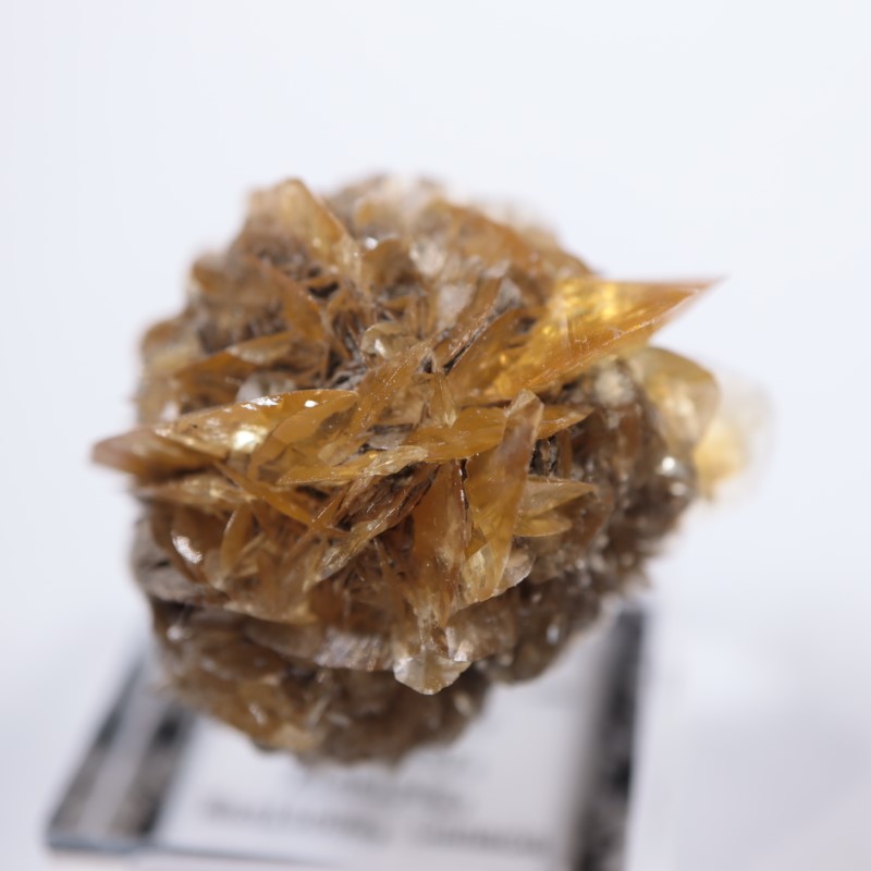 ���ʥ��������ץ���ʥ���ʥ��ȡ�