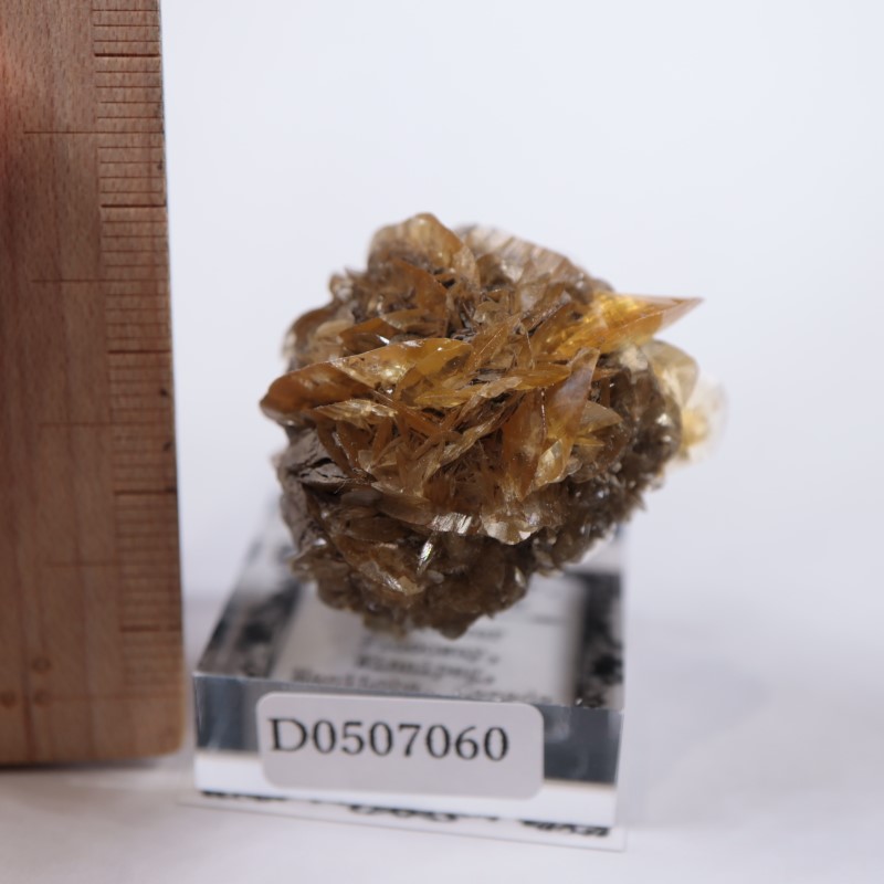 カナダ産 ジプサム（セレナイト） | 鉱物標本,サ行,ジプサム/石膏