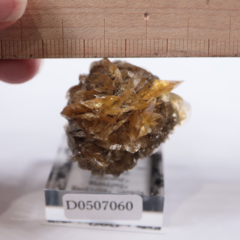 カナダ産 ジプサム(セレナイト) 鉱物標本,サ行,ジプサム/石膏 ほたるみねらるオンラインショップ