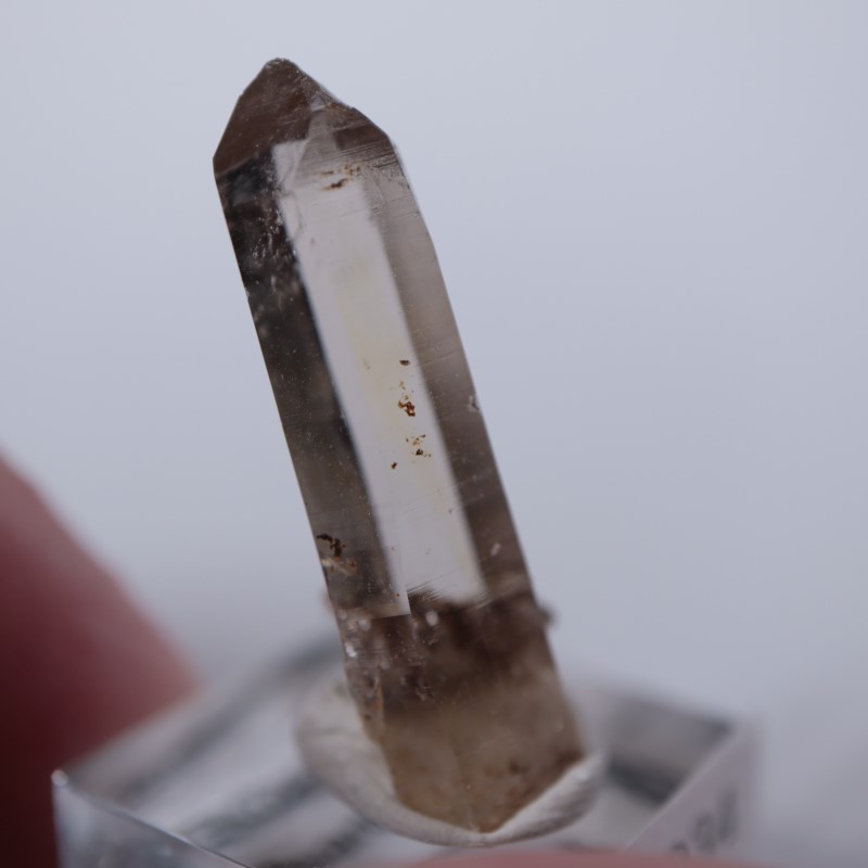 モンブラン産 スモーキークォーツ | 鉱物標本,サ行,スモーキークォーツ