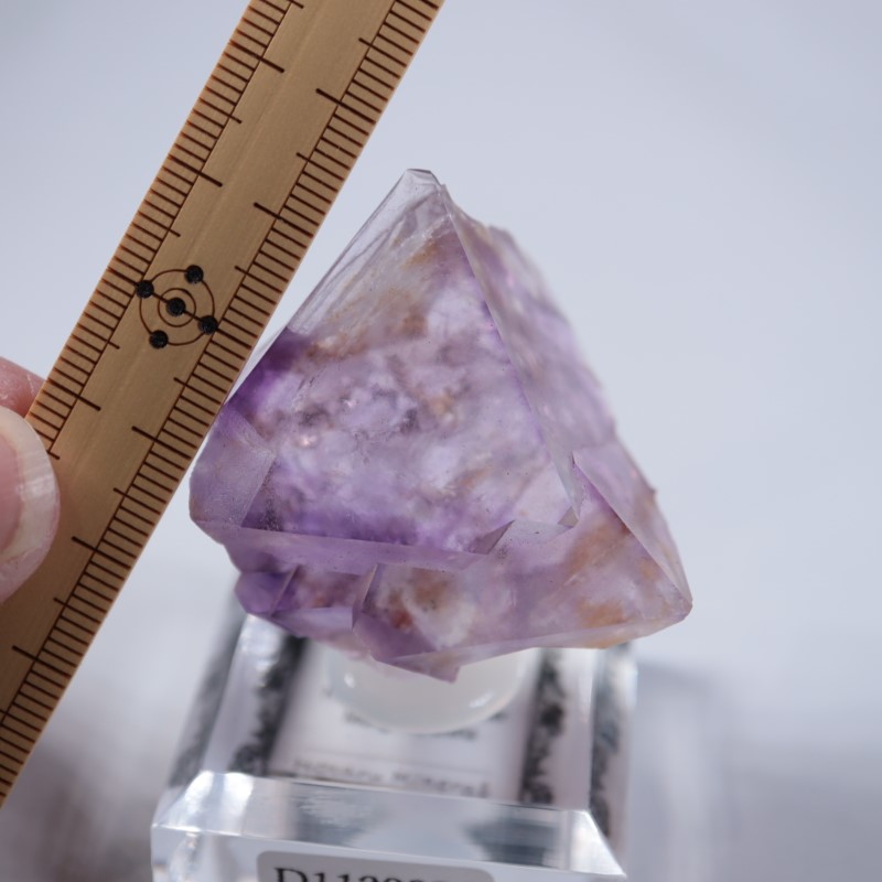 Huanggangliangۻե饤