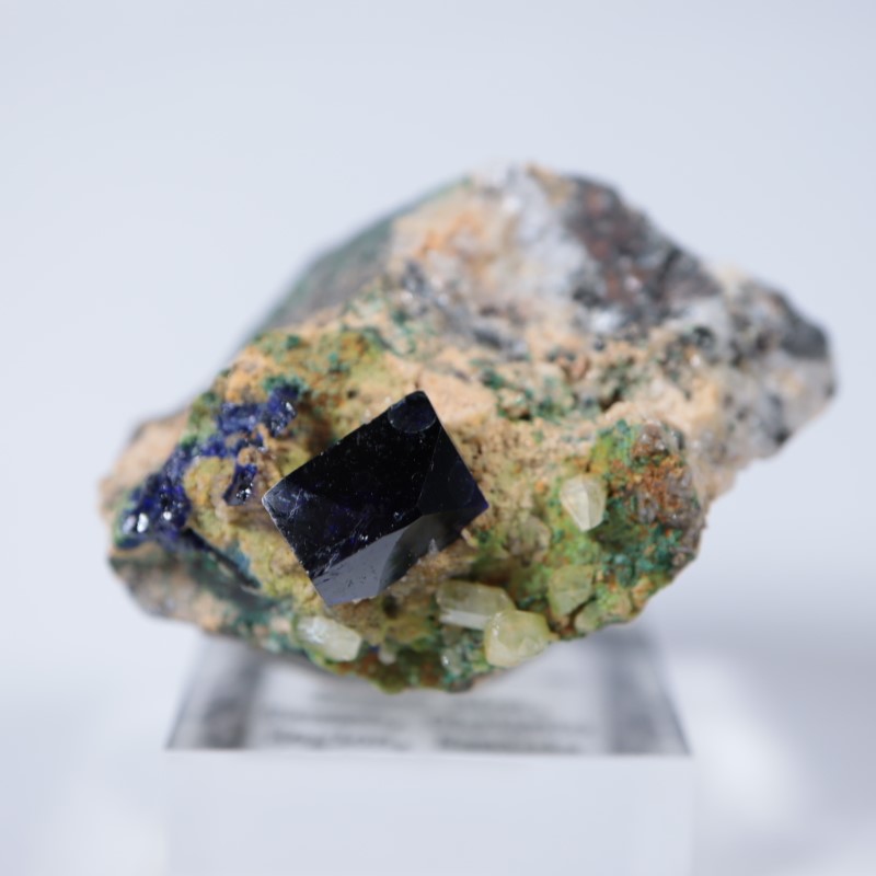 �ĥ�ֹۻ��������饤��