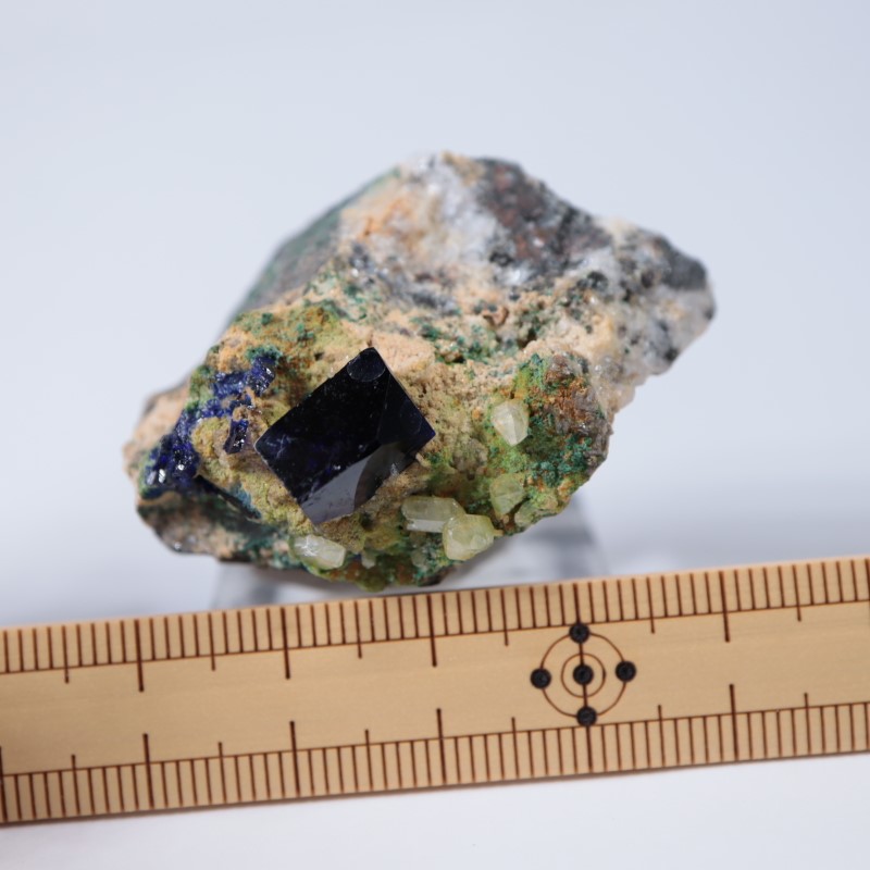 �ĥ�ֹۻ��������饤��