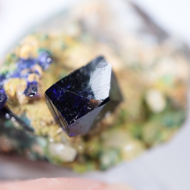 �ĥ�ֹۻ��������饤��