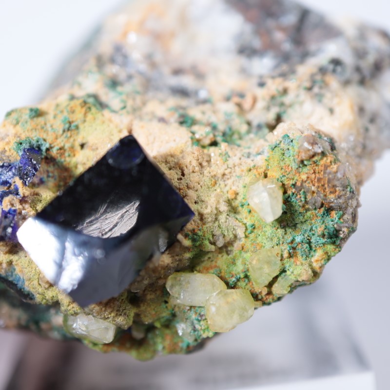 �ĥ�ֹۻ��������饤��