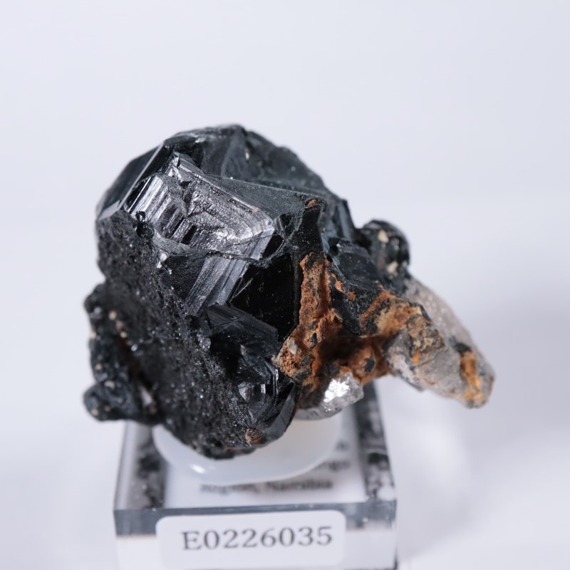 新石器時代　根付け　置物　彫刻　紅山文化　美品　希少　ブラック系　天然石　1点物 楽天市場】シンガの石像 天然石パラスストーン 40cm 石彫り彫刻