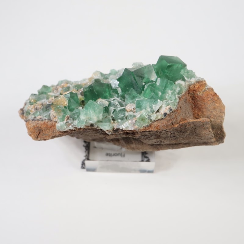 �����ꥹ�� �ե����饤��