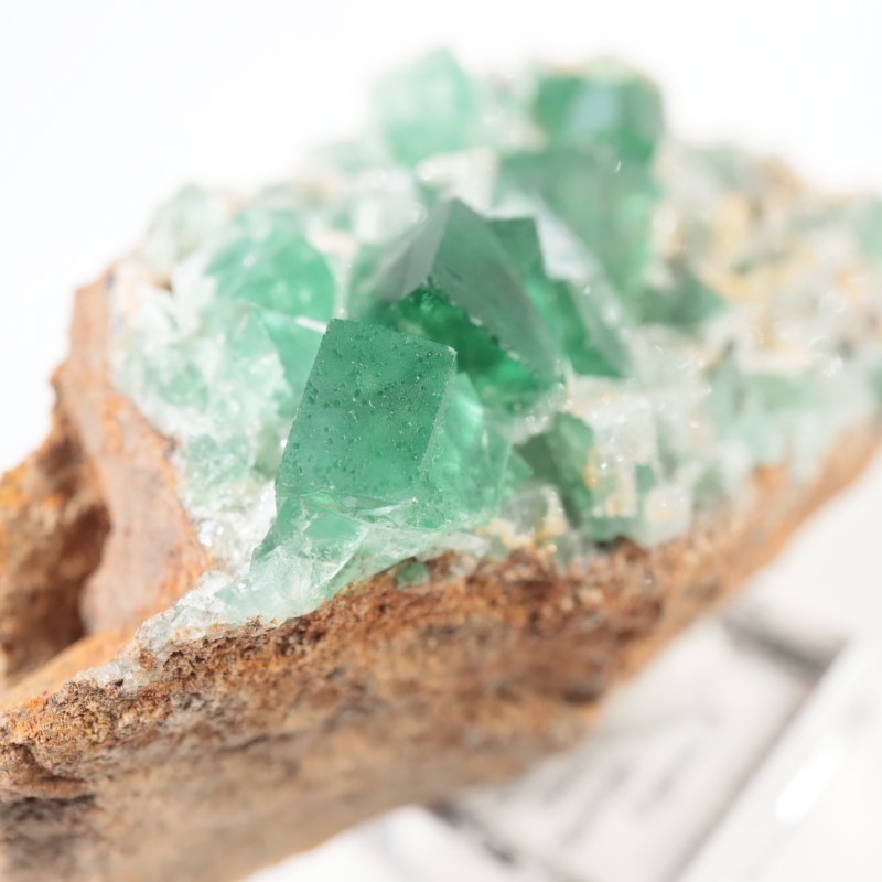 �����ꥹ�� �ե����饤��