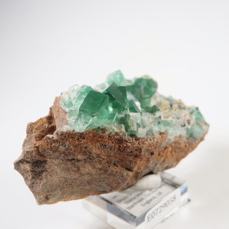 �����ꥹ�� �ե����饤��