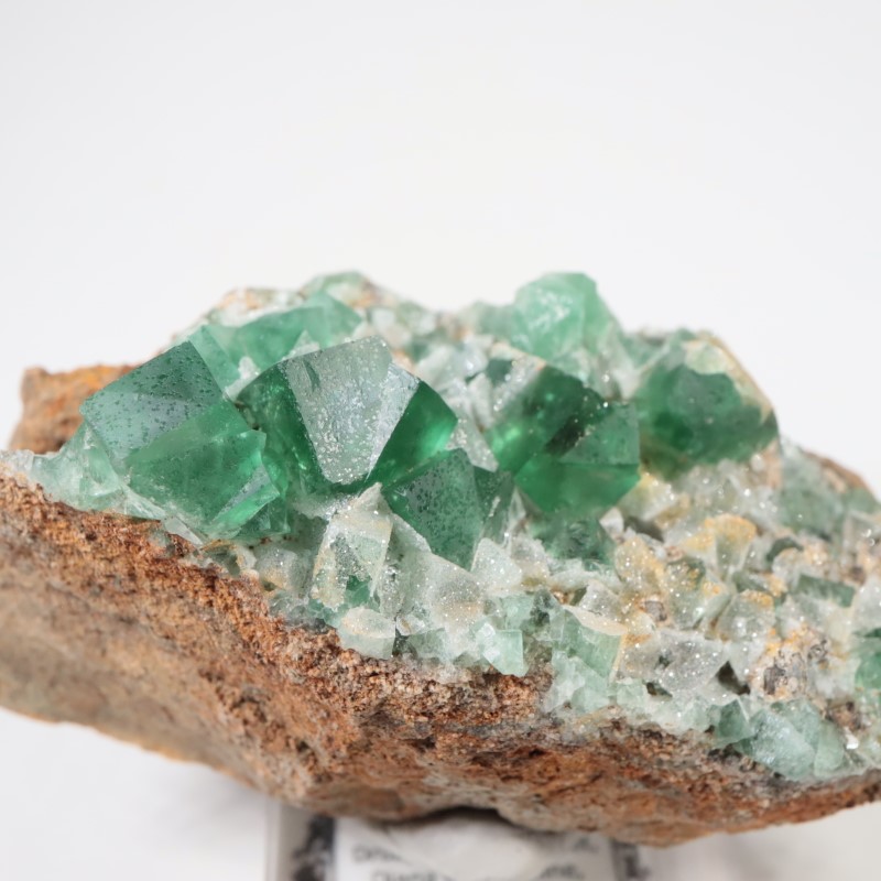 �����ꥹ�� �ե����饤��