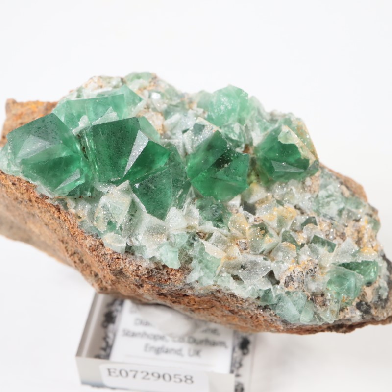 �����ꥹ�� �ե����饤��