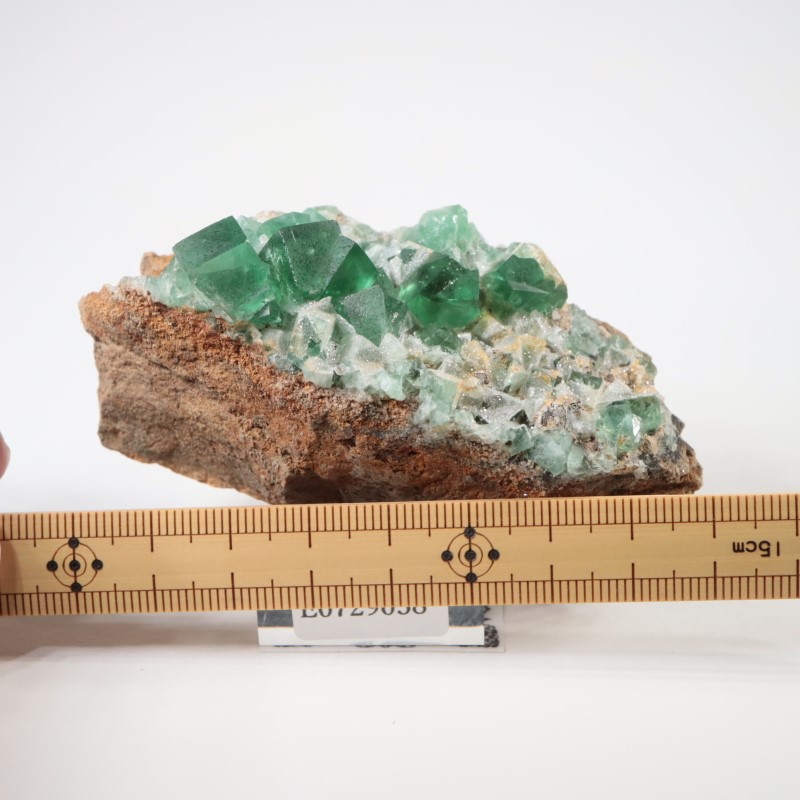 �����ꥹ�� �ե����饤��