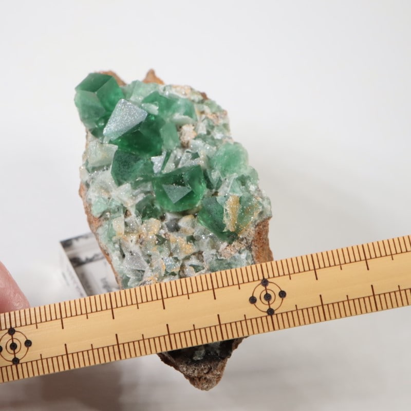 �����ꥹ�� �ե����饤��